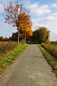 herbstliche Bäume am Alkenbach